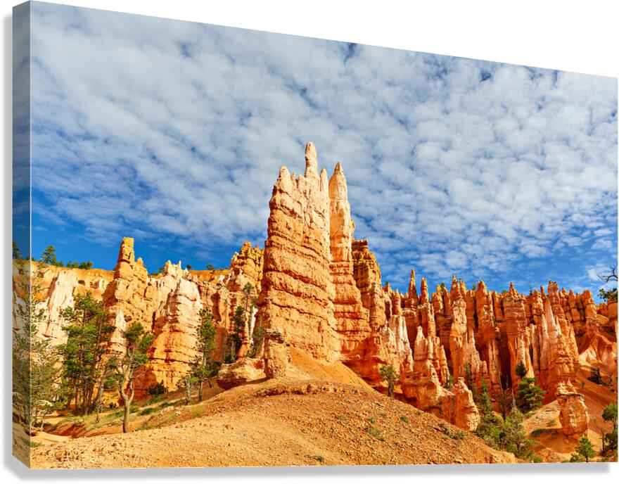 NP USA 00669 Canvas Print