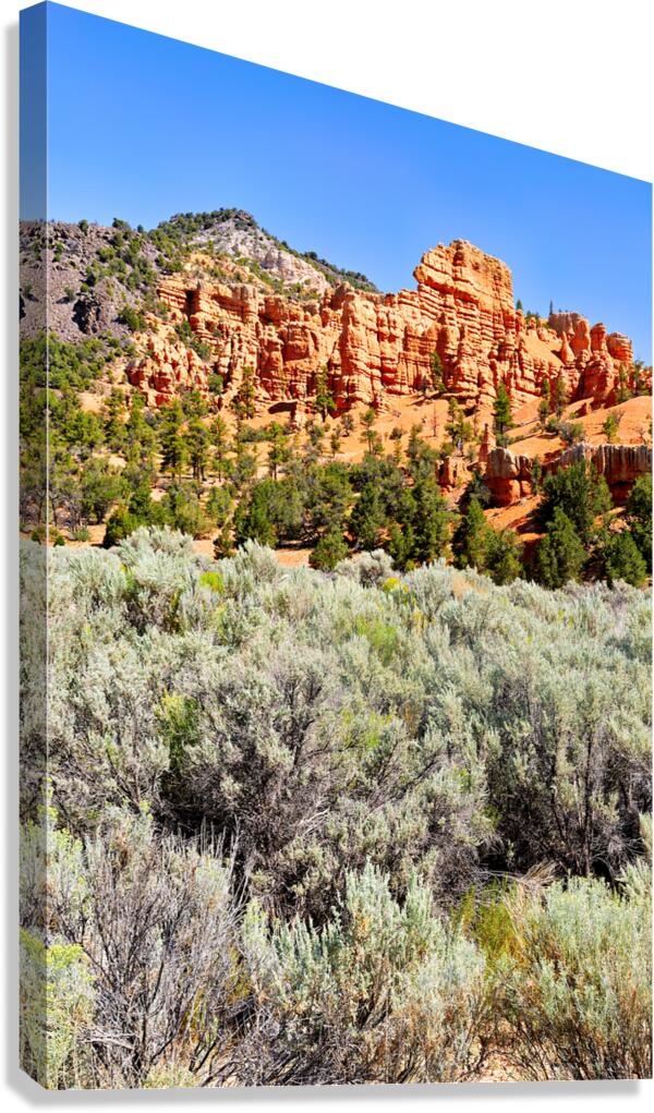 Visit Dixie National Forest in Utah with red rock formations Canvas Print