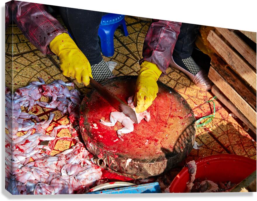 Fresh fish preparation at market in Hanoi during midday Canvas Print