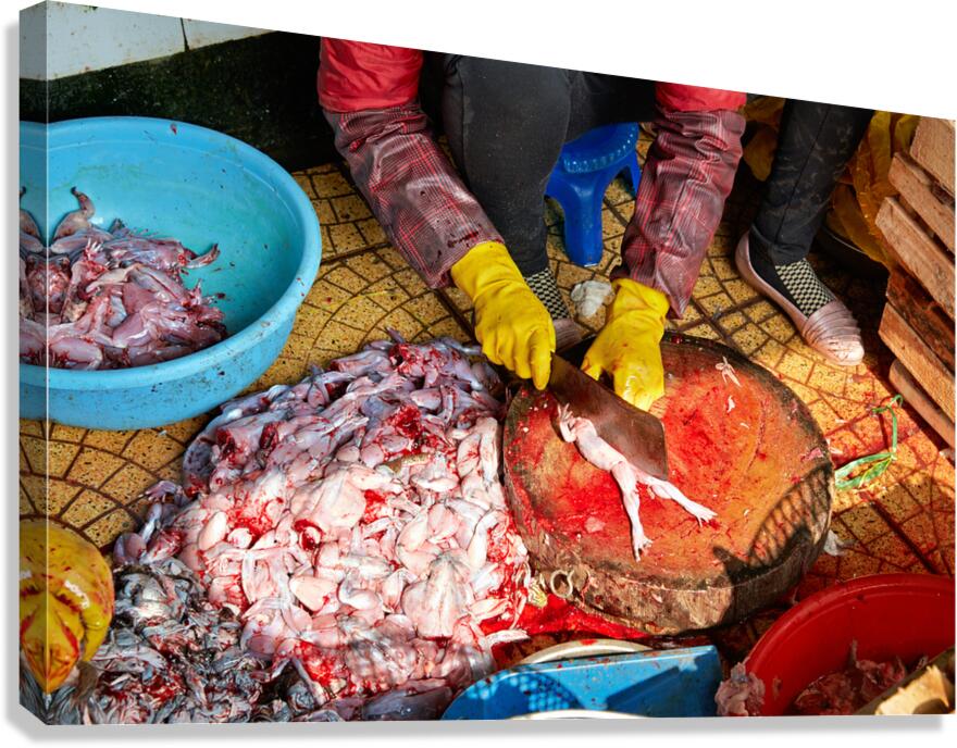 Market activity in Hanoi with fish preparation in progress Canvas Print