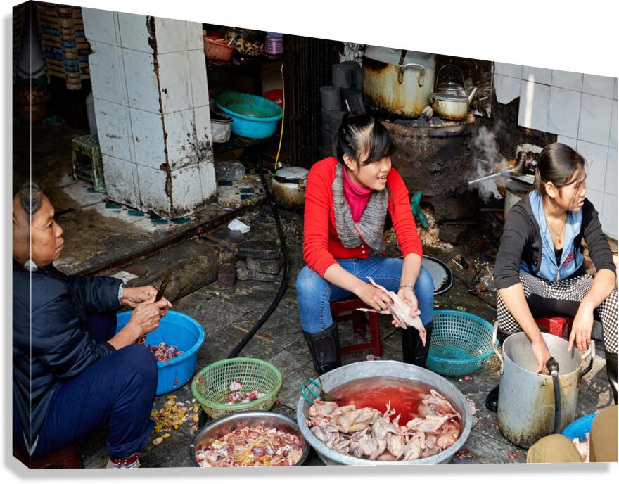 Women preparing fish in a market in Hanoi Vietnam Canvas Print