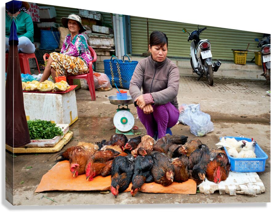 Women selling chickens at market in Phu Quoc Vietnam Canvas Print