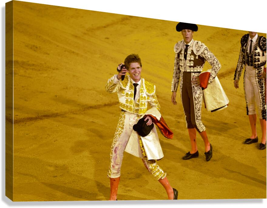 Bullfight event in Seville Arena Andalusia Spain