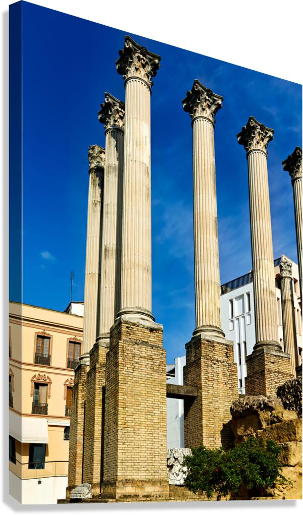 Ruins of roman theatre in cordoba andalusia spain