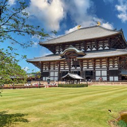 Visit to Todai ji temple in Nara Japan with green landscape