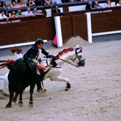 Bullfight in Madrid Spain during traditional event