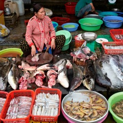 Woman sells fish at market in Phu Quoc Vietnam during daytime