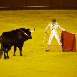 Bullfight in Seville Arena during evening event