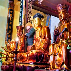 Hanoi offers a view of golden statues in a temple setting