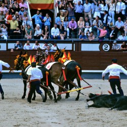Bullfight in Madrid Spain with horses and bull in arena