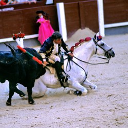 Bullfighter on horseback performs at Las Ventas in Madrid