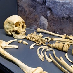 Remains of a tomb displayed at Guarnacci Museum in Italy