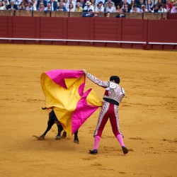 Bullfight event in Seville Arena of Andalusia Spain