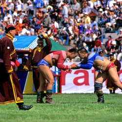 Naadam festival wrestling competition in Ulaanbaatar Mongolia