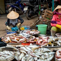 Fish market in Phu Quoc with local vendors working