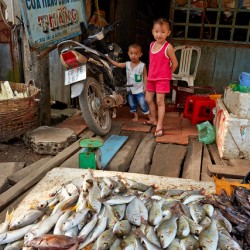 Children at a fish stall in Phu Quoc Vietnam during the day