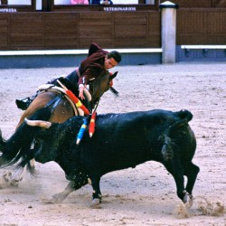 Bullfight in Madrid Spain during the afternoon event
