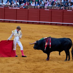 Bullfight scene in Seville Arena in Andalusia Spain