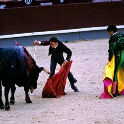 Bullfight at Las Ventas in Madrid during the corrida de rejones