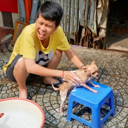 Boy washing a small dog in Ho Chi Minh City