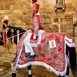 Apulia Puglia Italy. Ostuni. Festival of Saint Orontius. The cavalcata a procession of horses in the streets of the town