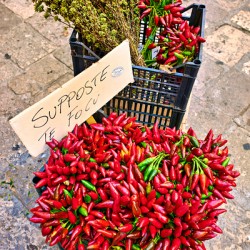 Salento. Apulia Puglia Italy. Gallipoli. Dried red chili