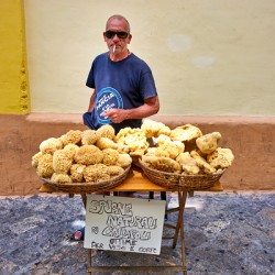Salento. Apulia Puglia Italy. Gallipoli. Natural sea sponges