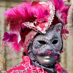Venice Italy. The Carnival