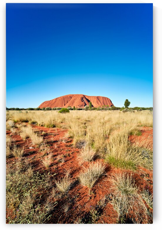 Uluru Australia: A vast red desert landscape under a clear blue by Marco Brivio