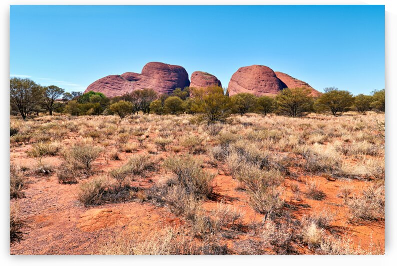 Visit Olgas in Kata Tjuta National Park Australia near Uluru by Marco Brivio