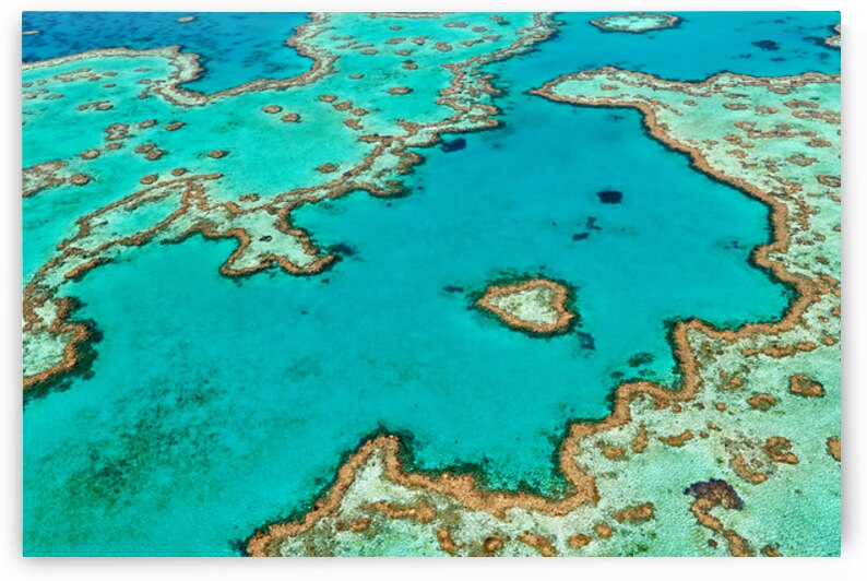 Aerial view of Heart Reef Great Barrier Reef Australia. by Marco Brivio