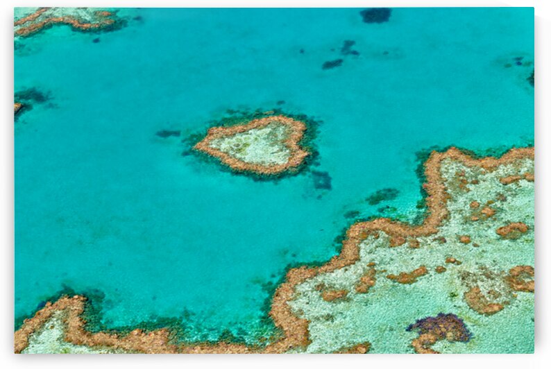 Heart Reef Great Barrier Reef Australia by Marco Brivio