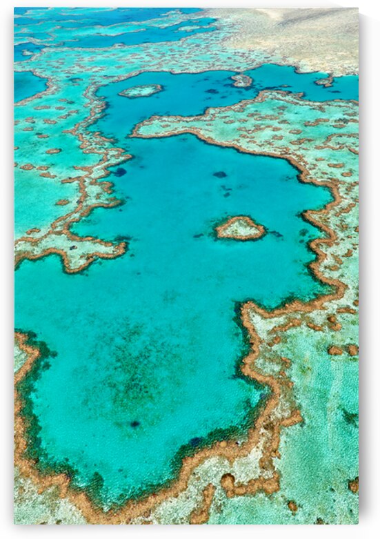 Aerial view of the Great Barrier Reef Australia. by Marco Brivio