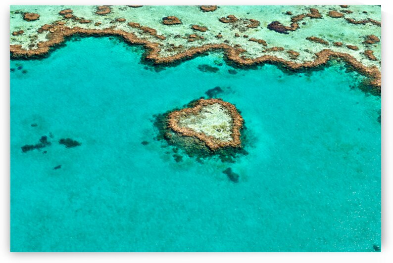 Heart Reef Great Barrier Reef Australia by Marco Brivio