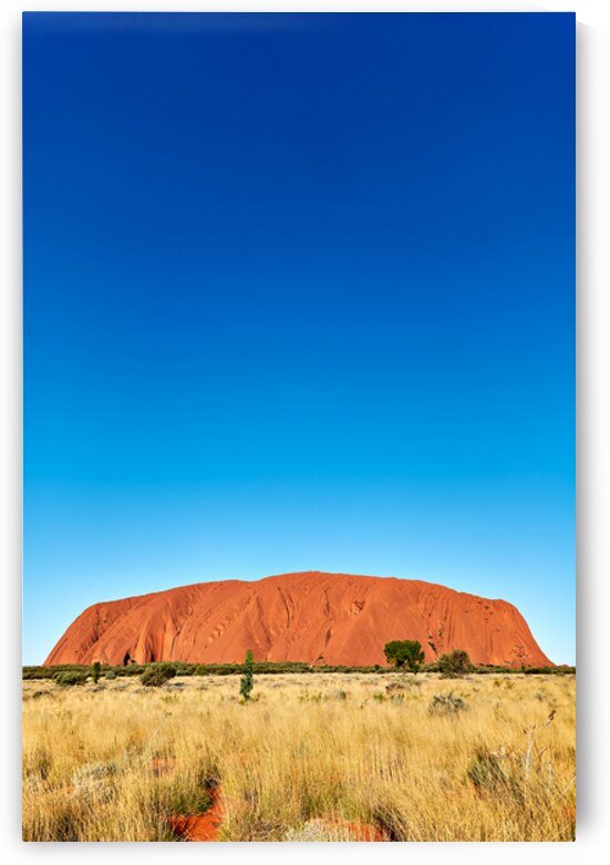 Uluru monolith under a clear blue sky. by Marco Brivio
