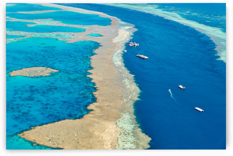 Aerial view of coral reefs and boats in turquoise ocean. by Marco Brivio
