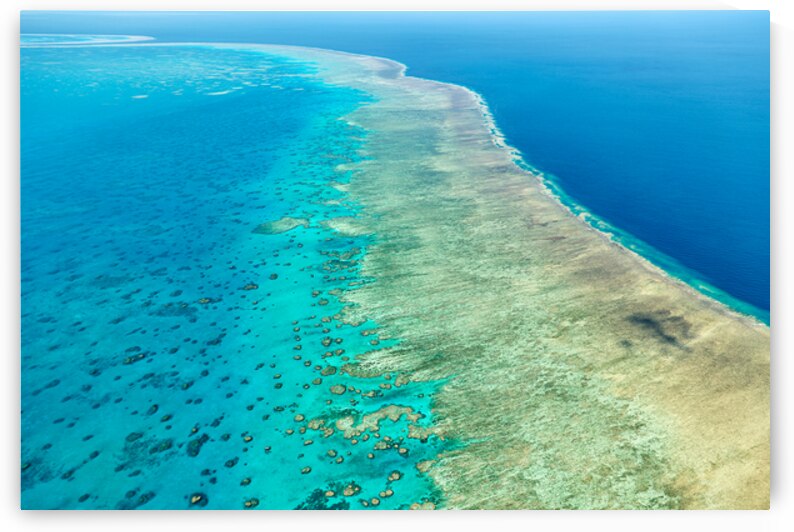 Aerial view of a vibrant coral reef system in clear blue ocean. by Marco Brivio