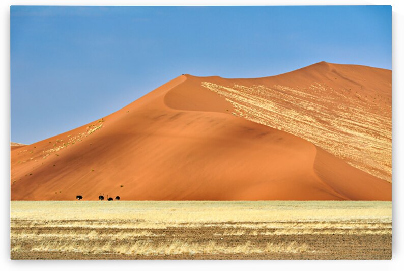 Sand dunes and desert landscape at Sossusvlei in Namibia by Marco Brivio