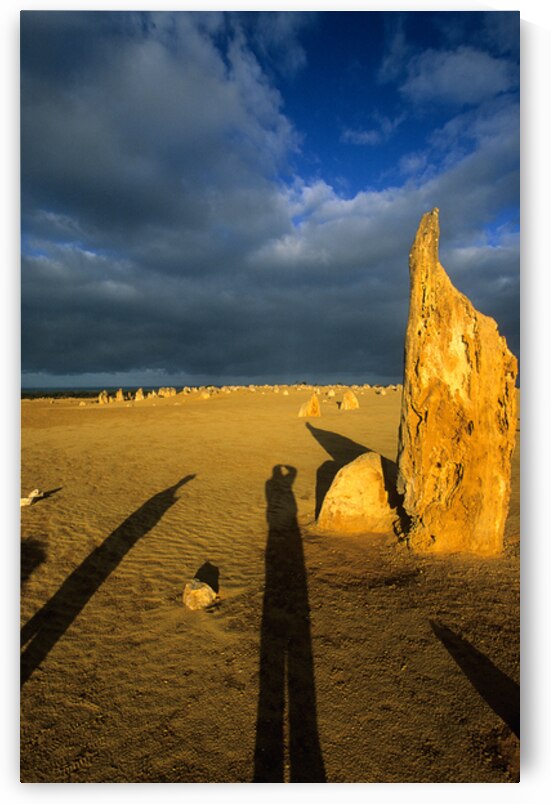 Photographers shadow falls on the Pinnacles desert at sunset. by Marco Brivio