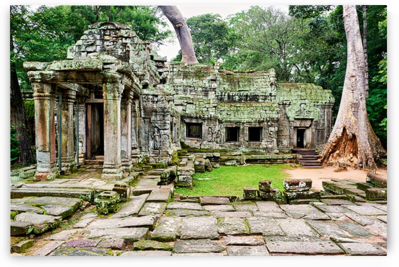 Moss covered ancient temple ruins with large trees. by Marco Brivio