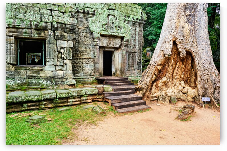 Ancient temple ruins with a colossal tree trunk. by Marco Brivio