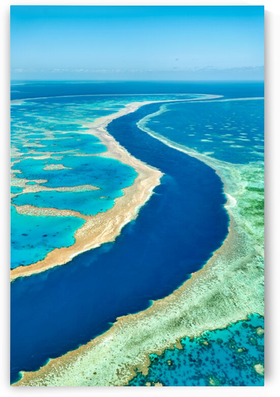 Aerial view of a vibrant coral reef and deep ocean channel. by Marco Brivio