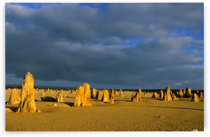 The Pinnacles desert landscape with dramatic clouds and birds. by Marco Brivio