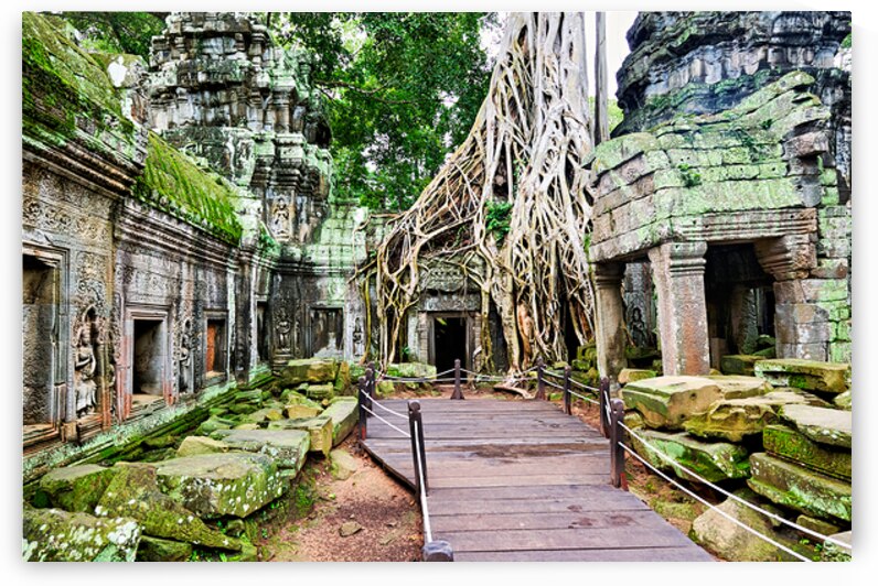 Massive tree roots engulf ancient temple ruins with moss. by Marco Brivio