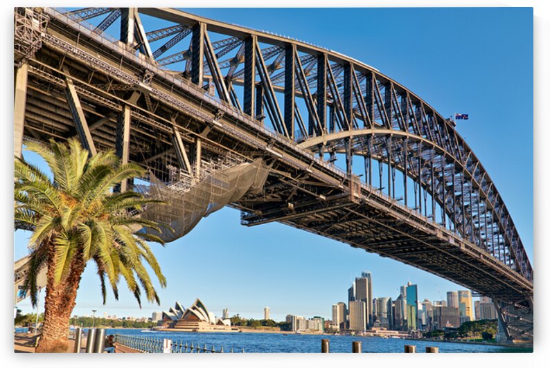 Sydney Harbour Bridge and Opera House with palm tree. by Marco Brivio
