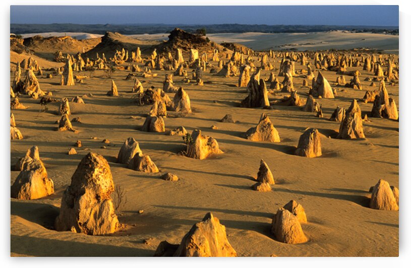 The Pinnacles Deserts limestone pillars glow at sunset. by Marco Brivio
