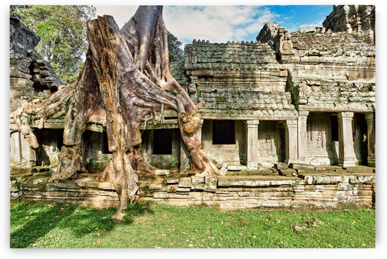 Tree roots engulf ancient temple ruins. by Marco Brivio