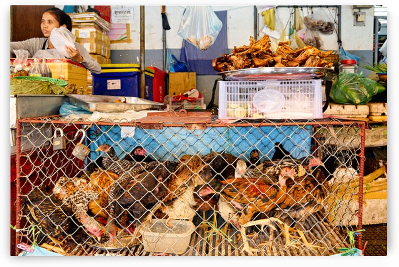 Woman sells live and cooked chickens at a market stall. by Marco Brivio