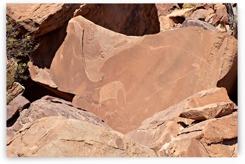 Prehistoric rock engraving at Twyfelfontein in Kunene region Na by Marco Brivio