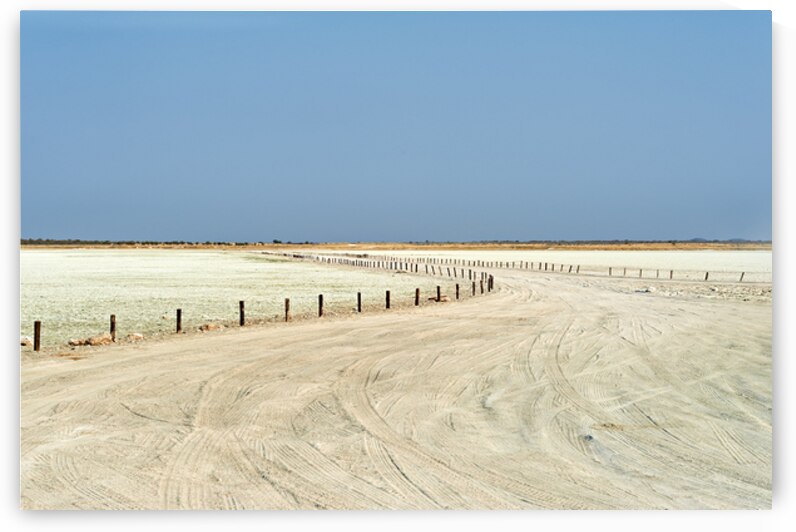 Exploring the etosha pan in namibias etosha national park by Marco Brivio